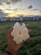 Pearl Glow Scrunchie