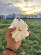 Pearl Glow Scrunchie